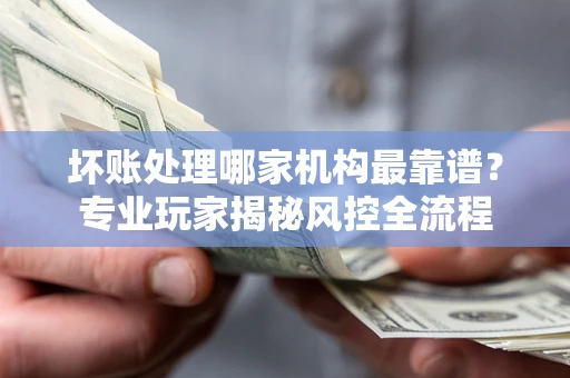 济南坏账处理哪家机构最靠谱？专业玩家揭秘风控全流程