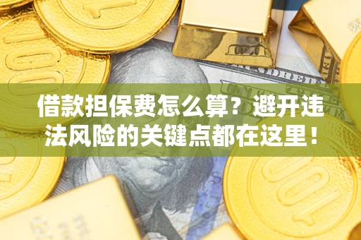 济南借款担保费怎么算？避开违法风险的关键点都在这里！