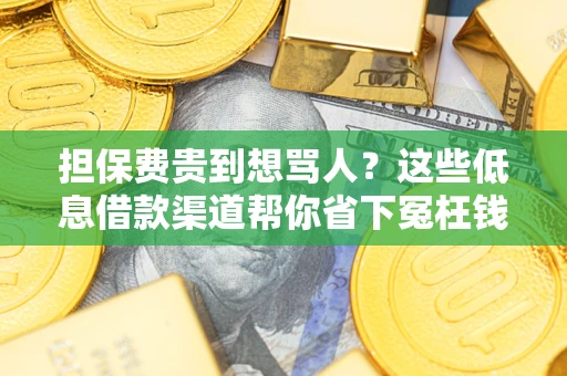 济南担保费贵到想骂人？这些低息借款渠道帮你省下冤枉钱