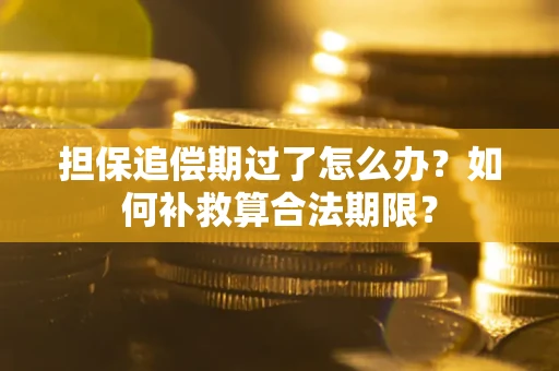 济南担保追偿期过了怎么办？如何补救算合法期限？