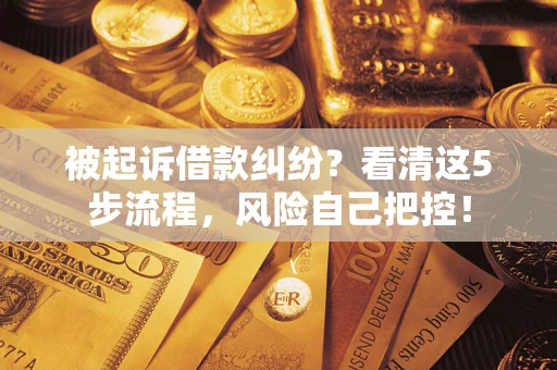 济南被起诉借款纠纷？看清这5步流程，风险自己把控！